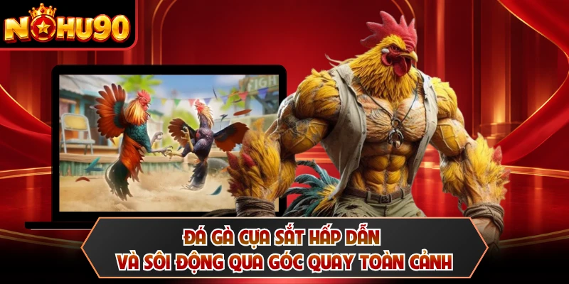 Đá gà cựa sắt hấp dẫn và sôi động qua góc quay toàn cảnh