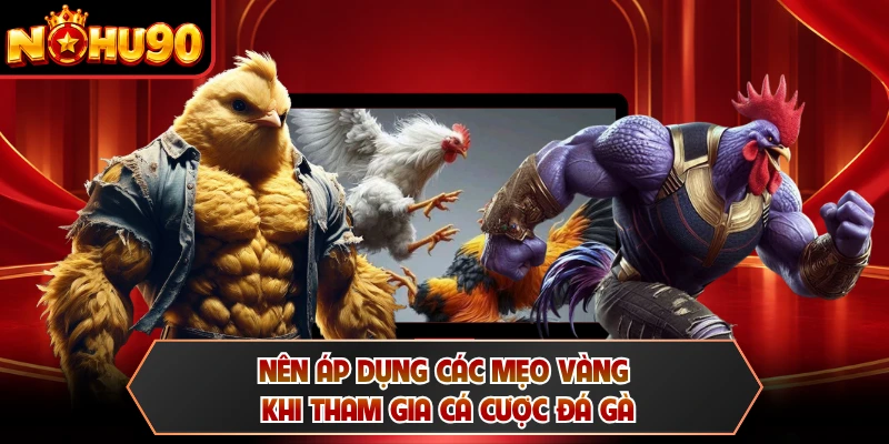 Nên áp dụng các mẹo vàng khi tham gia cá cược đá gà