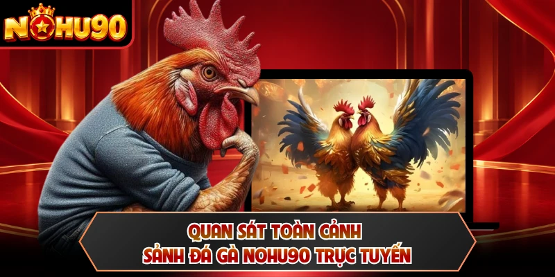 Quan sát toàn cảnh sảnh đá gà NOHU90 trực tuyến