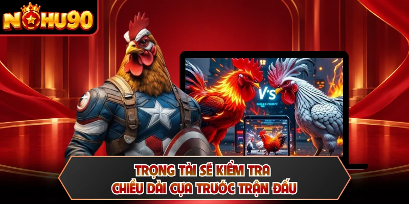 Trọng tài sẽ kiểm tra chiều dài cựa trước trận đấu